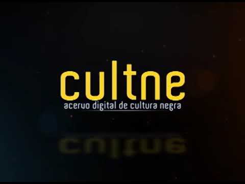 Leila Gonzalez Feminista Negra...