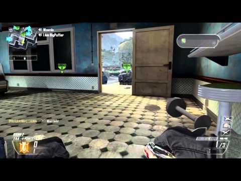 What Did You Say? #1 (Black Ops 2 Cut Off and Death Reaction Montage)