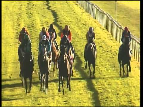 München, AARON Automobile - Listenrennen, 01.11.12, Sieger: Quidamo