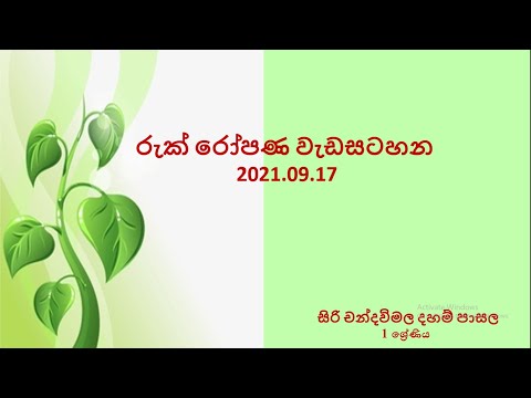 රුක් රෝපණ වැඩසටහන | සිරි චන්දවිමල දහම් පාසල | 1 ශ්‍රේණිය