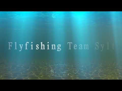 Meerforelle Fliegenfischen / Flyfishing, Herbst 2013, Fliegenfischen Ostseeküste Dänemark