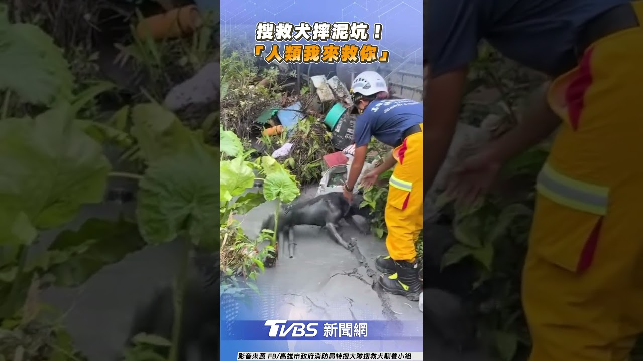 有片/搜救犬奮力爬出花蓮災區泥坑 網友感動:罐罐要加滿