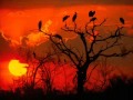Orchestra Baobab - Bul Ma Miin 