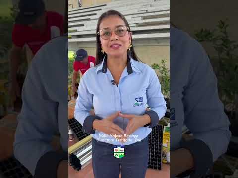 🌱 Sembramos futuro en el campo de Andalucía 🌱