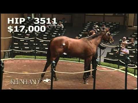 2010 September Yearling Sale: Hip 3511 - SECRET CIRCLE