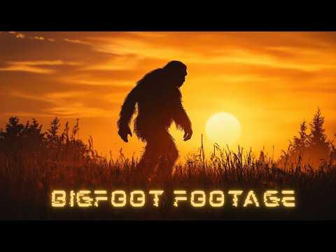 8 Shocking Bigfoot Sightings You Won’t Believe Are Real!