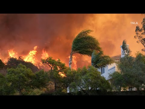 Palisades Fire - First On Scene at Start of Fire - Los Angeles County.mp4