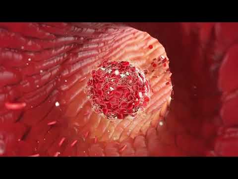Blood clot Formation, Red cells, vellum simulation Houdini 19.5 Hip file, medical animation,Karma