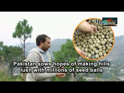 Pakistan sows hopes of making hills lush with millions of seed balls