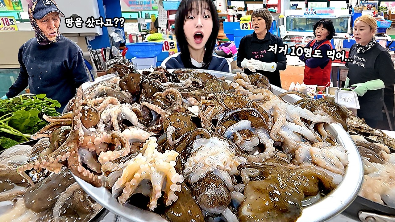 부안가서 땅 사고 산쭈꾸미 먹었습니다😱 수산시장에서 살아있는 쭈꾸미 몇마리 먹었을까