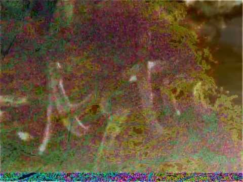 AUTUMNATA  (de Fried el Astro)