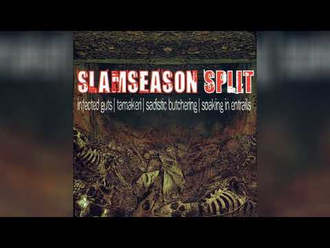 v.a. (nl | fi | us | ru) - 2007 - slam season (split, coyote records)
