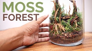 Moss Forest in a Jar