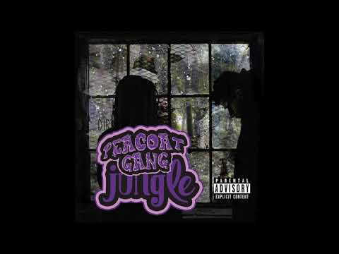 Jungle (Official Audio)