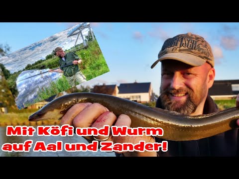 Matze Koch: Eel! - with Köfi, Worm, and Salamanca - Matze's Antics 08-2020