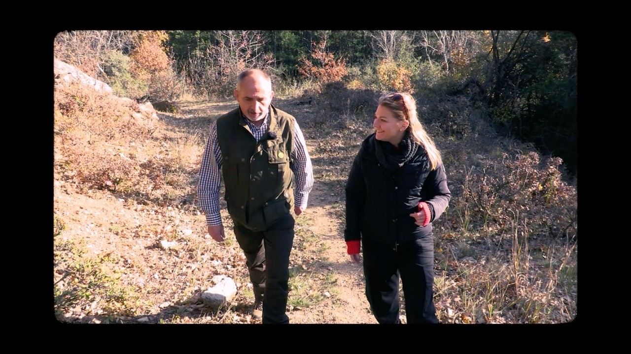 Az erdő ideje – Encsi Csaba mesél az időről és az erdőről | 3. rész