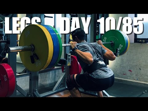 Legs - Spring Bulk Day 10/85