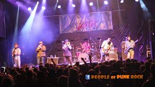 REEL BIG FISH - 241 @ Bivouak&#39;Alooza, Saint-Jean-Port-Joli QC - 2017-08-26