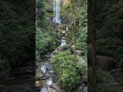 Parque de cuerdas. 📍Páramo, Santander Km 22 vía San Gil - Charalá. 📲Reservas 3114893272