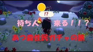【ゲーム配信】あっぷるちゃんを求めて住民ガチャ！