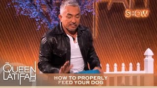 Cesar Millan&#39;s Tips Every Dog Owner Should Know
