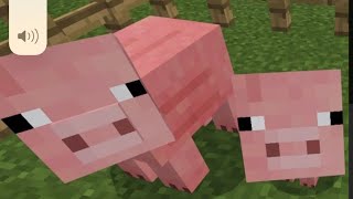 #84 マイクラでぶたグル作ってみた