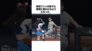 【ツェー】どんでん岡田の思い出
