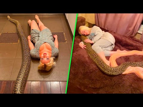 Sie schlief jede Nacht mit ihrer Python, bis ihr Tierarzt die tödliche Wahrheit aufdeckte