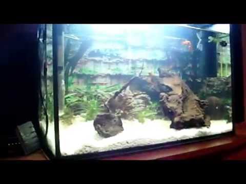 mix  Bravo Hits zima 2014