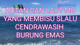 Download lagu TANAH PAPUA Karaoke Teks lirik. mp3