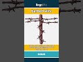 barbed wire - a type of wire with sharp,... video thumbnail