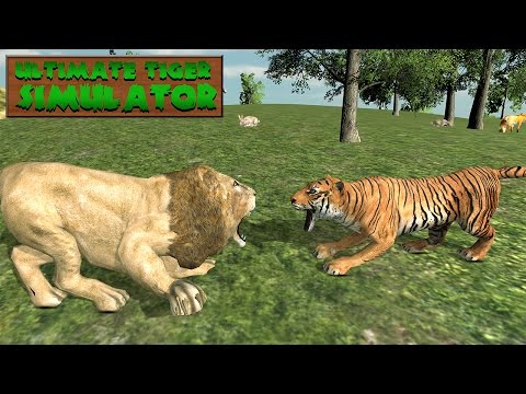 Ultimate Tiger Simulator Video