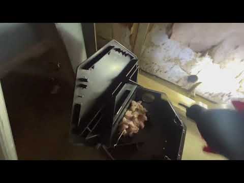 Compactor Room Heavily Infested with Mice in Robbinsville, NJ
