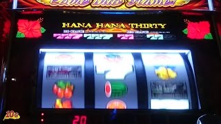 ハナハナ鳳凰のハナ連している動画