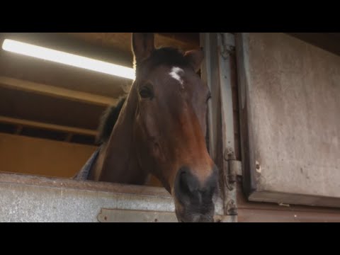 Master Minded | Legend in Retirement!