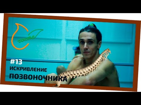 Корректор для осанки помогает Корсет для осанки спины цены