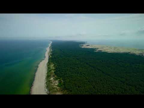 Связь с собой: творческий танец на Куршской косе