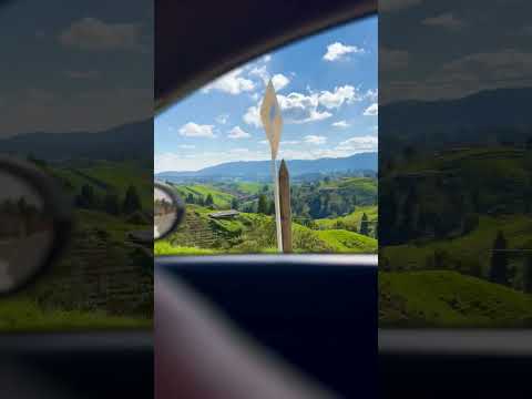 ESCRIBEN ✏️ Los paisajes hoy domingo ✋ Entrerríos norte de Antioquia. ⌚ 3 pm