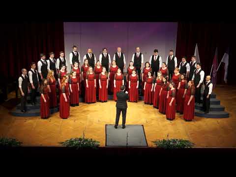 Naša pesem 2024 – AKADEMSKI PEVSKI ZBOR FRANCE PREŠEREN KRANJ – VODOMETI