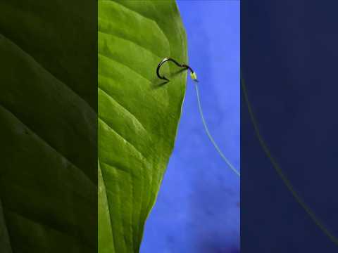 Best Fishing Hooks For Fishing #shorts #fishing #mancing #tutorial