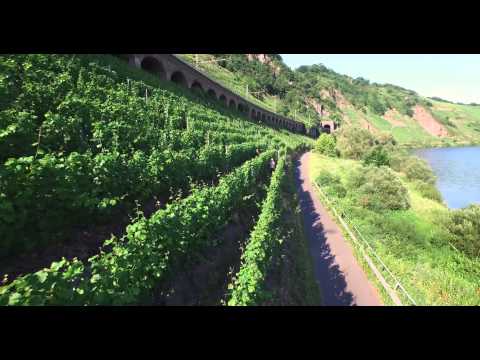 Video 3 aus  Wein & Wohngut Paulushof