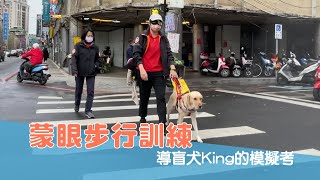 [問卦] 導盲犬有意識到自己超重要嗎??