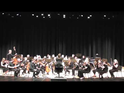 Beethoven Symphony No 2 WSCO Symphony Orchestra