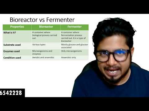 Bioreactor vs fermenter | The difference between bioreactor and fermenter