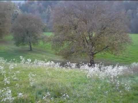 KARTINA DAHARI - Getaran Jiwa