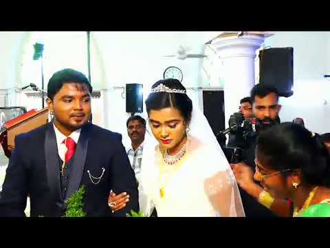 Jerin - WEDS - Bershic