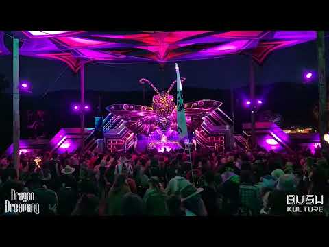 Evil Oil Man Live Set @ Dragon Dreaming Festival 2025