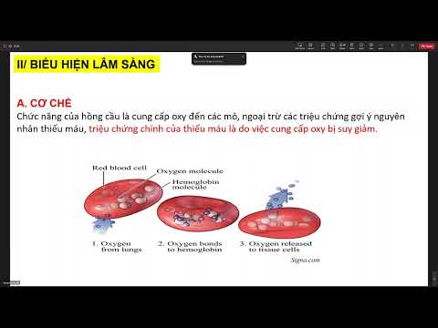 Huyết Học - Thiếu máu - 11/07/2023