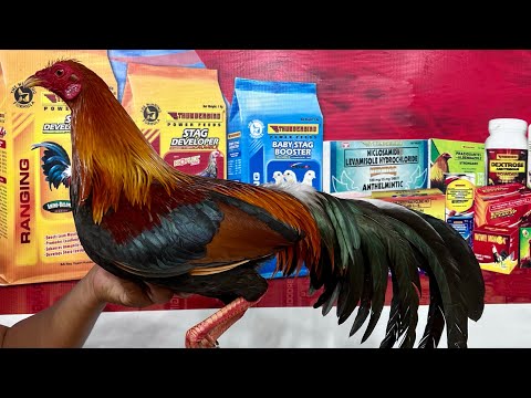 PANG MALUPITAN MUKANG DI KA AAYAWAN | LEMON SWEATER | ORONCE BROTHERS