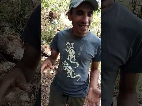 Duende Real En Capilla Del Monte 